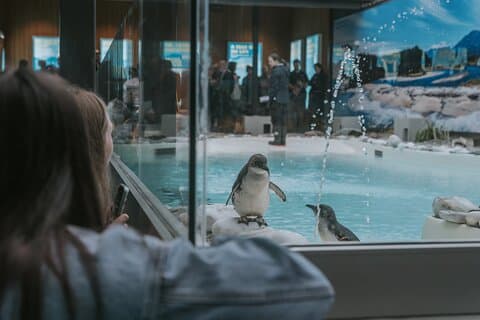 Skip the Line: Franz Josef Wildlife Center Ticket with Optional Backstage Pass