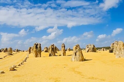 Small group 4WD Pinnacles Desert & Sand Boarding Adventure