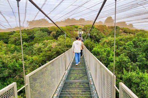 Aviary Tour and Tricao Park with Tasting in Undurraga Vineyard