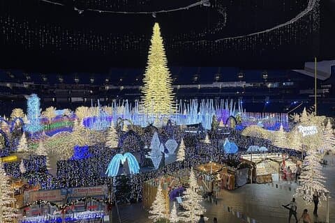 Christmas Lights Wonderland St. Pete Golf Cart Tour