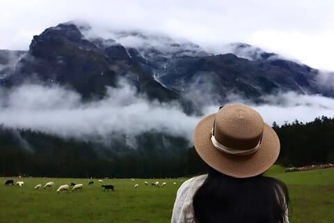 1-Day Jade Dragon Snow Mountain & Dongba Culture Experience