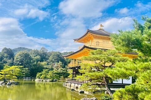 Explore Kyoto in Style: Temples, Shrines & Cultural Highlights