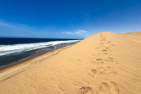 Sandwich Harbour Adventure: Seals and Sandwich harbour dune drive