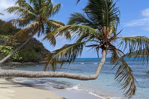 St John - A Jeepin' Adventure Ride Customized Your Way! 7.5hr