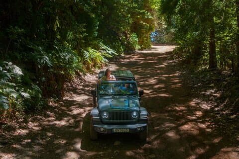 Madeira East Highlights: Private Half-Day Expedition