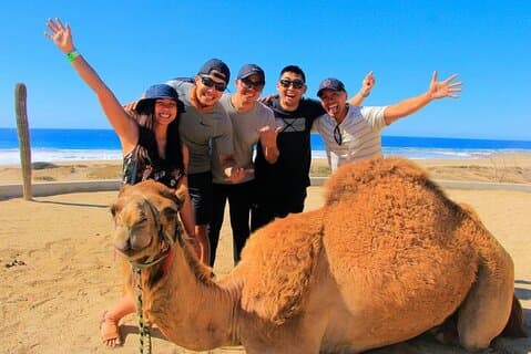 Private Luxury 4-Hour Tangier tour