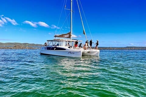 Brisbane Region: Oyster Farm Tour