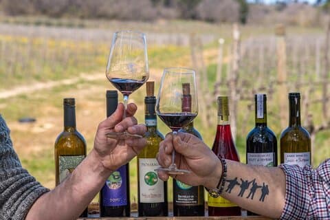 San Gimignano, Chianti, and Montalcino Day Trip from Siena