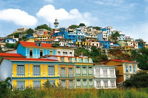 Half-Day Guayaquil Discovery: Las Peñas,Malecón 2000,Iguanas Park