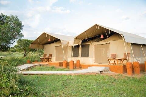 3 Days Private Masai Mara All inclusive 4x4 landcruiser Safari