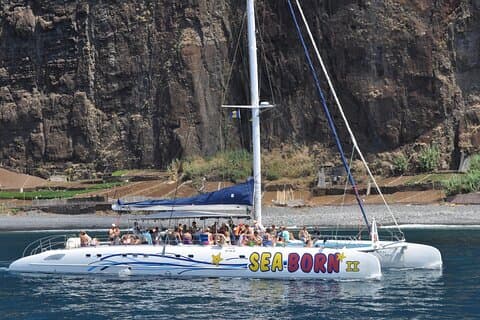 Arieiro Peak and Cristo Rei 4x4 Experience + Dolphins Watching