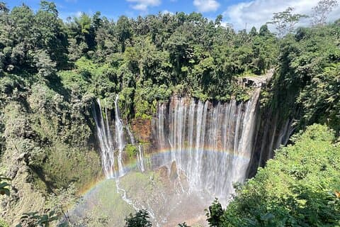 From Jakarta: Private Bogor Day Trip with Nature, Culture & Lunch