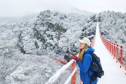 DMZ Insider Tour: 3rd Tunnel, NK Defector Meet& Suspension Bridge