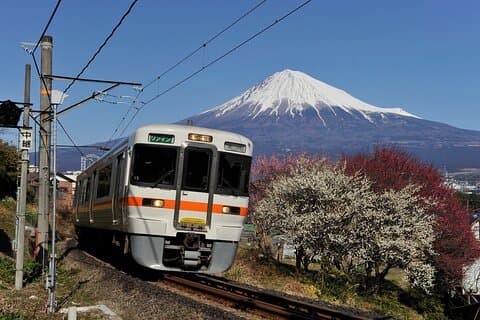 Mt Fuji Views Tour by Bullet Train Hokusai Train and Wasabi Farm