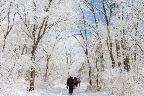 Mount Seorak and Nami Island One Day Tour from Seoul