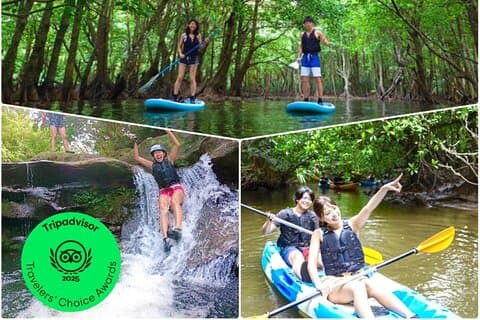 Okinawa Iriomote Mangrove SUP or Canoe and Splash Canyoning Tour