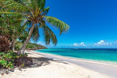 Paradise Cove Turtle Snorkel: Private Shore Tour from Freeport