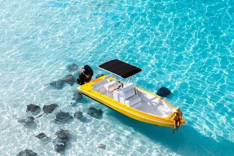 Private Shore Boat Tour: Stingray City, Rum Point & Bio Bay
