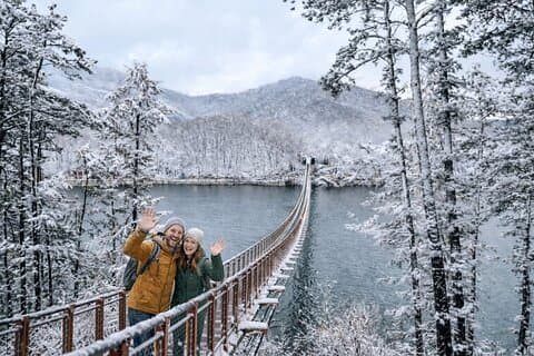 DMZ Tour from Seoul: NK Defector, 3rd Tunnel & Suspension Bridge