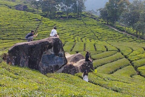 Bandung Old Town: A Historic City Square Walking Tour