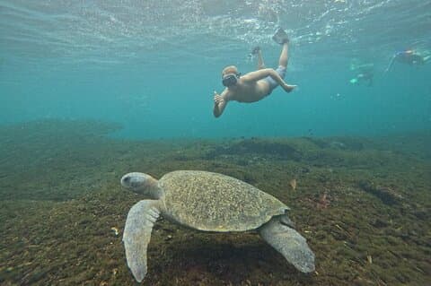 Private Tour of 9 Bays of Huatulco to San Agustin + CHAMPAGNE!