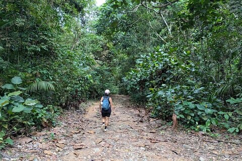 Jungle and Heritage Walk in Singapore