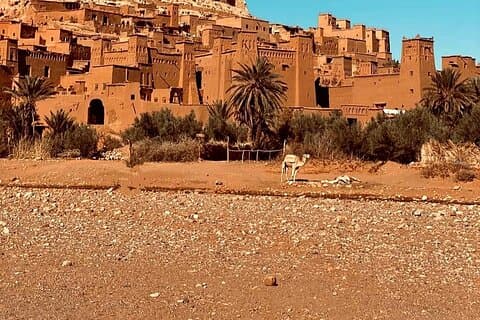Agafay Desert Dinner with Camel Ride from Marrakech Sunset Tour