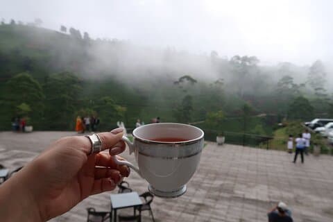 Labookellie Tea Factory Tour from Nuwara Eliya
