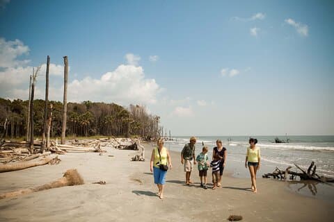Capers Island Wildlife Exploration
