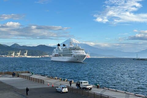 Private Sightseeing Tour from Shimizu Port Medium Bus