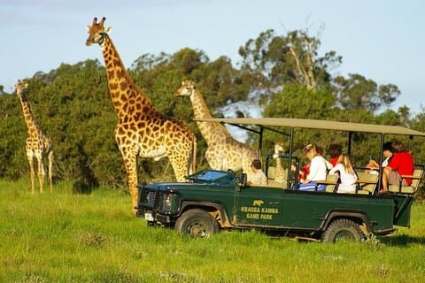 Port Elizabeth Kragga Kamma Game Park 4WD Tour