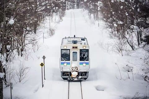 Sapporo City Highlights Customizable Private Tour