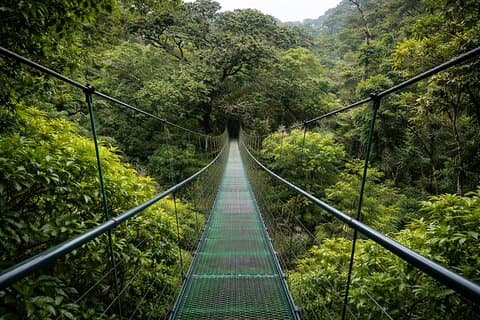Sloth Watching, Miravalles Volcano, Hot Springs & Waterfall