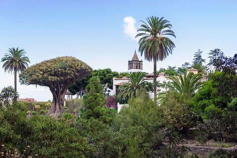 Tenerife Highlights Giants & Masca Coastal Cliffs