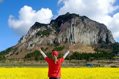 Jeju South-West Essentials: Hallasan & Signature Highlights