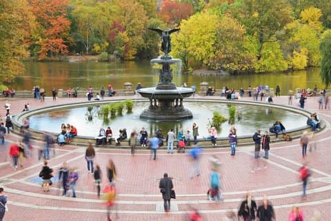 New York City Tour in One Day: Central Park, 911 and Ferry Statue