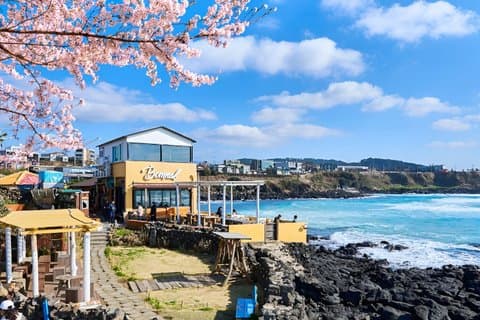 Jeju WestSouth One Day Authentic Tour with MT.Halla & UNESCO