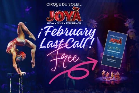Cirque du Soleil JOYÀ Admission Tickets