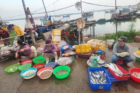 Hoi An Sunrise - Fish Market & Hidden Local Villages