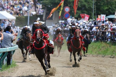 Nomaoi Festival Experience the Horse Chasing Spectacle