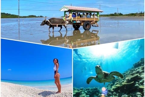 Okinawa Iriomote Island 1 Day Trip OK from Ishigaki Island!Complimentary photo data and equipment rental for Balas Island Snorkeling & Yufu Island Sightseeing