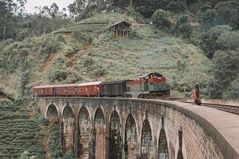 Day Tour at Sri Lanka Elephant Transit , Train Ride and Nine arch