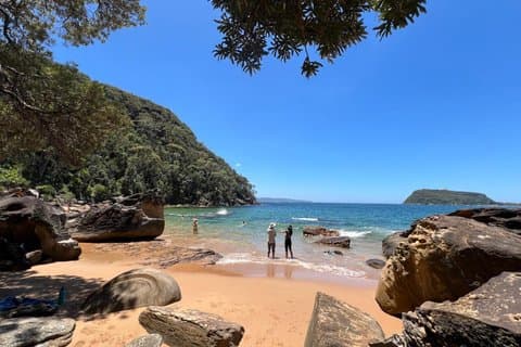 Sydney: Ku-ring-gai National Park Hike, Swim, Oysters & Picnic