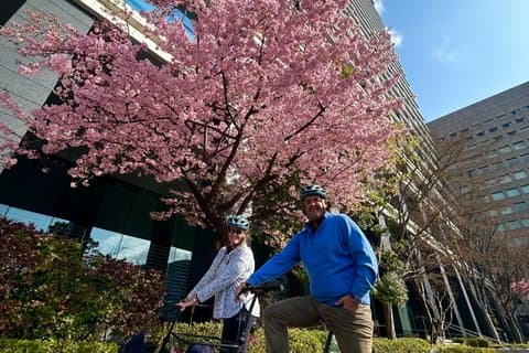 Explore Tokyo’s Must-See Spots by E-Bike – Small Group 3h Tour