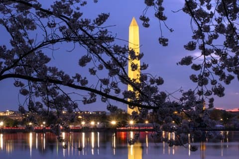 DC Night Tour: 10+ National Mall Monuments, Entry Ticket Upgrades