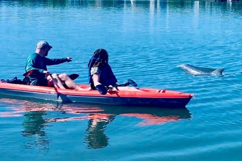 Daytona Beach Dolphin & Manatee Kayak Wildlife Adventure