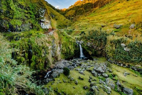 Hidden Gems of São Miguel: Small-Group Tour & Lunch