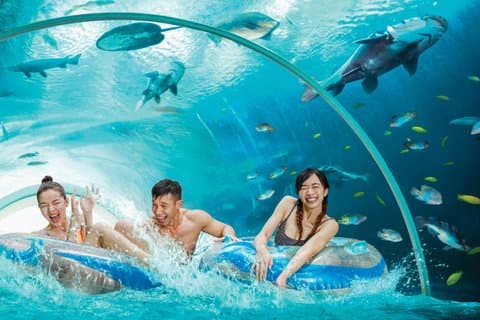 Adventure Cove Waterpark Admission Ticket