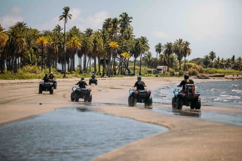 ATV Quad Bike Adventure Tour (Departs Nadi)