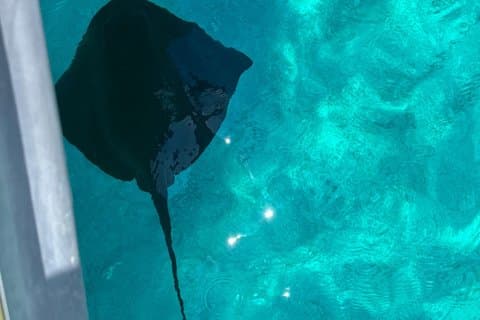Sarandë: Speedboat Tour to Hidden Bays Sea Caves & Crystal Waters